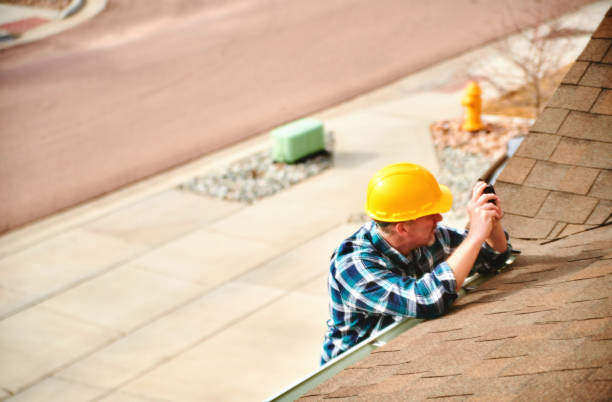 Best Roof Moss and Algae Removal  in Glendale, OH